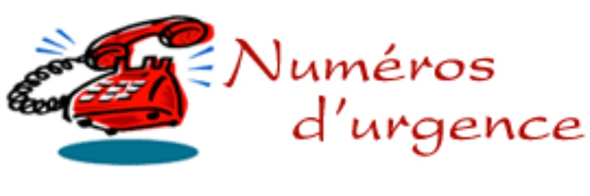 Numéros utiles - VLS